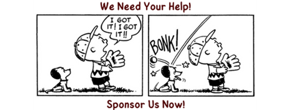 Be a Menifee Pony Sponsor